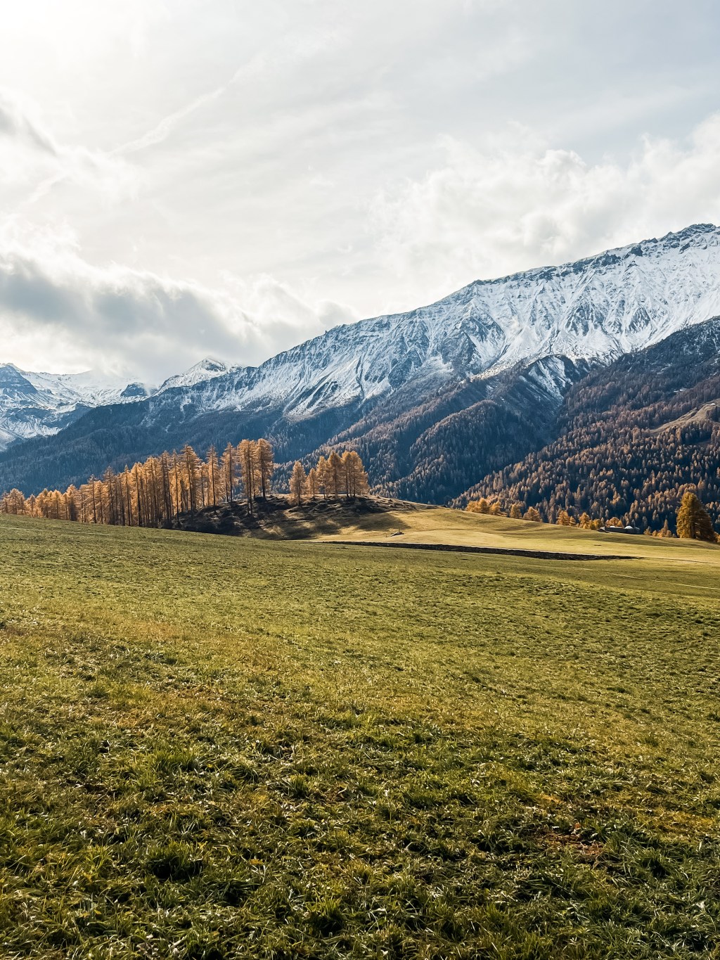 SENDA VAL MÜSTAIR